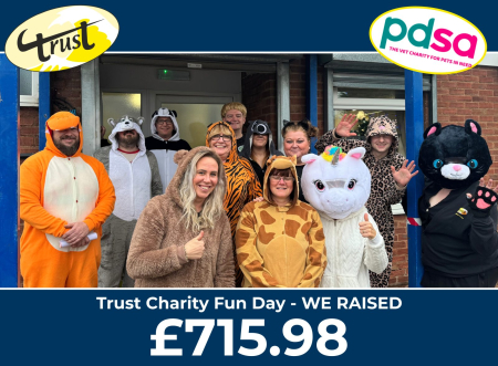 PDSA fun day scaled 1